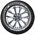Шина Nexen Roadian CTX 215/75 R16С 116/114R